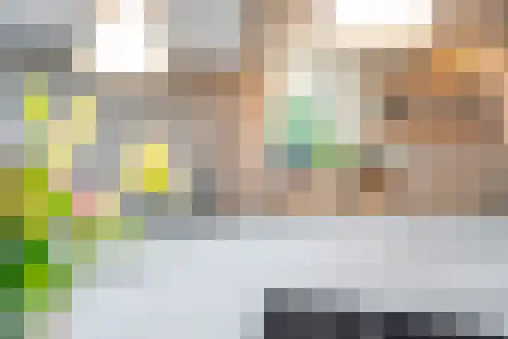 Maanvogel 4 Franeker thumbnail 12