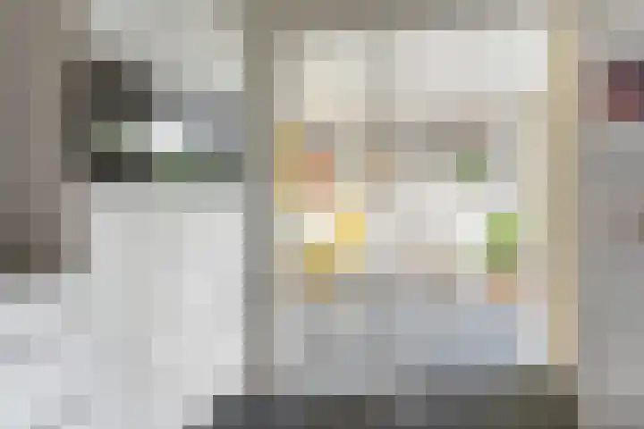 Maanvogel 4 Franeker thumbnail 13