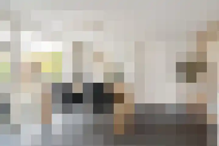 Maanvogel 4 Franeker thumbnail 14