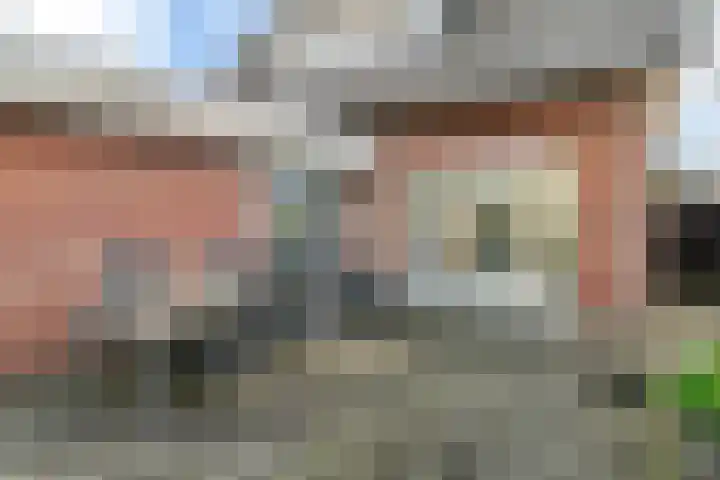 Maanvogel 4 Franeker thumbnail 17
