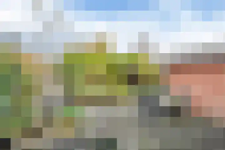 Maanvogel 4 Franeker thumbnail 18