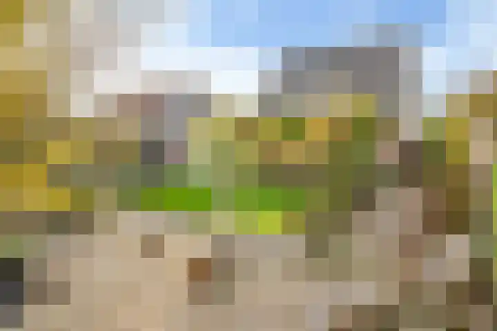 Maanvogel 4 Franeker thumbnail 19