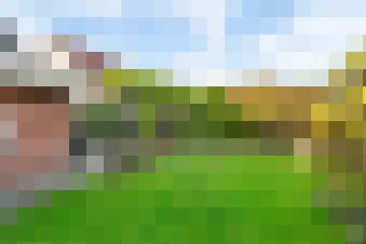 Maanvogel 4 Franeker thumbnail 20