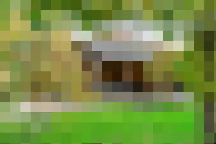 Maanvogel 4 Franeker thumbnail 21