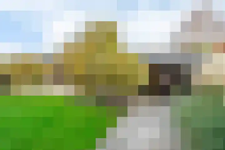 Maanvogel 4 Franeker thumbnail 22