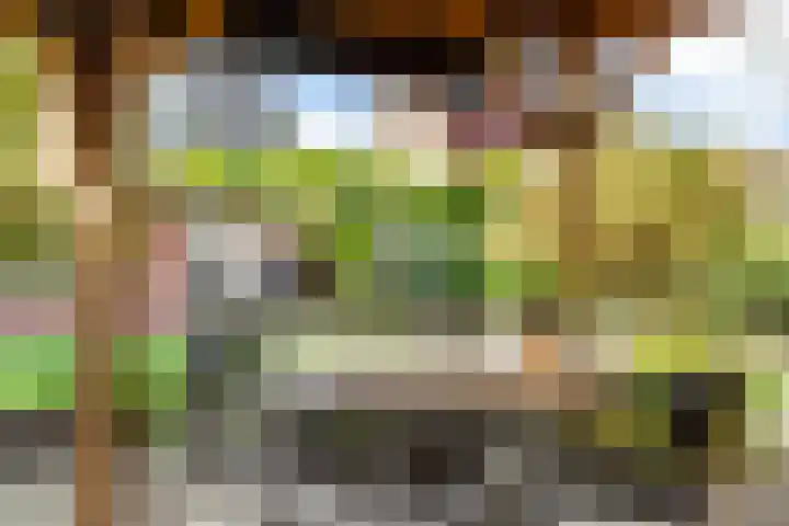 Maanvogel 4 Franeker thumbnail 23