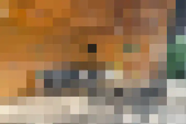 Maanvogel 4 Franeker thumbnail 25