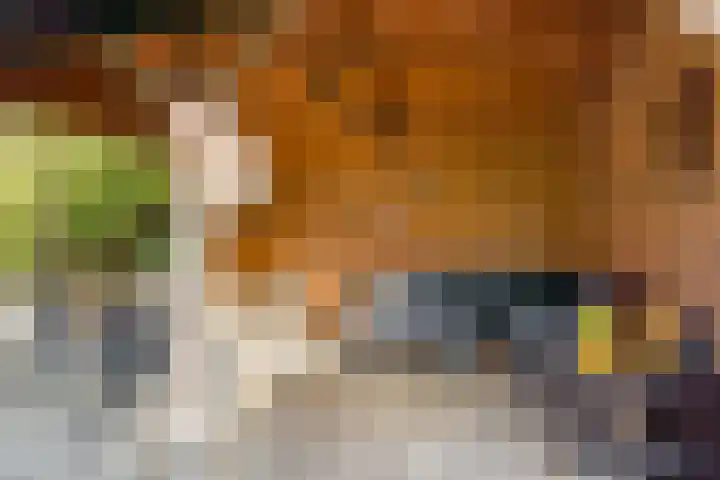 Maanvogel 4 Franeker thumbnail 26