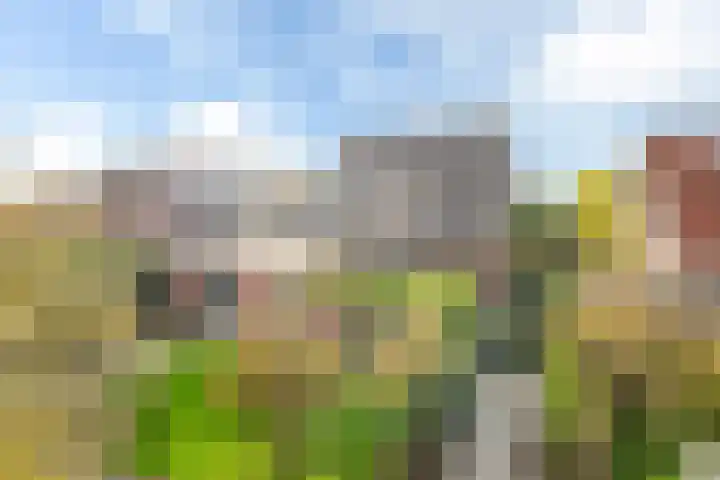 Maanvogel 4 Franeker thumbnail 27