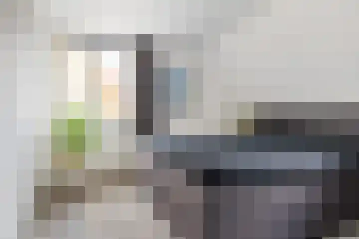 Maanvogel 4 Franeker thumbnail 30