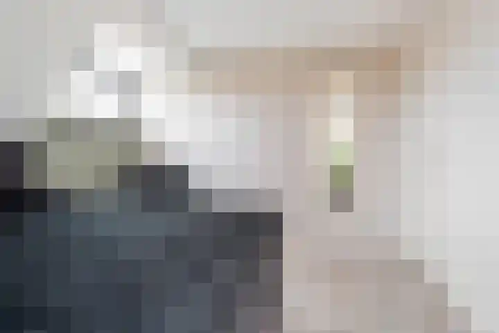Maanvogel 4 Franeker thumbnail 31