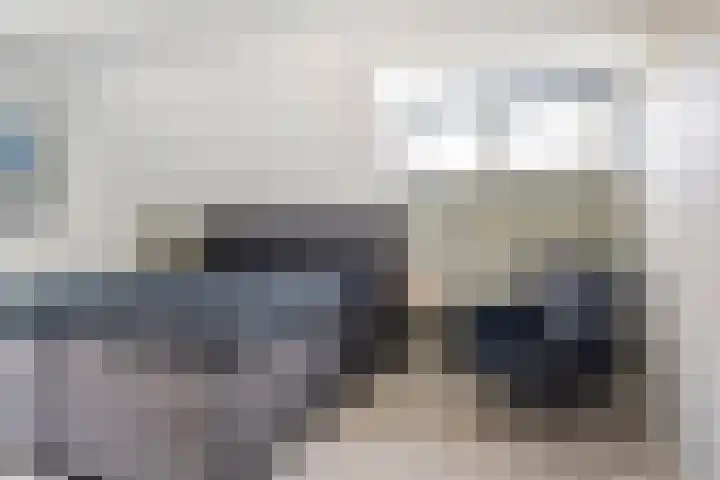 Maanvogel 4 Franeker thumbnail 32