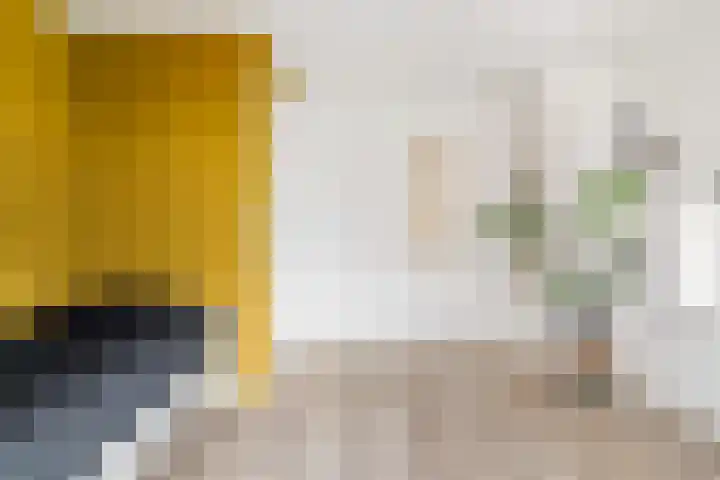 Maanvogel 4 Franeker thumbnail 34