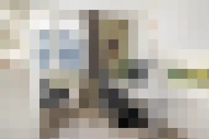 Maanvogel 4 Franeker thumbnail 35