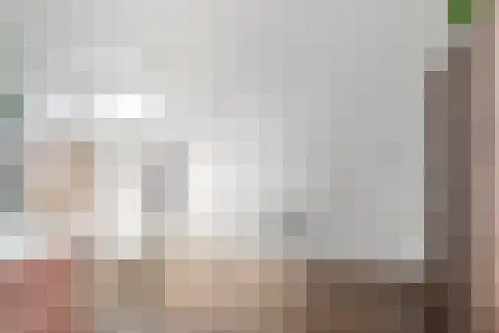 Maanvogel 4 Franeker thumbnail 38