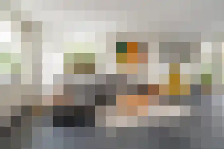 Maanvogel 4 Franeker thumbnail 4
