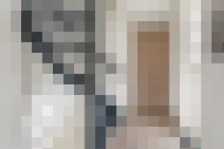 Maanvogel 4 Franeker thumbnail 41