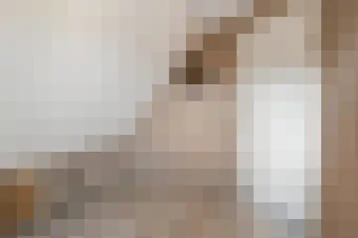 Maanvogel 4 Franeker thumbnail 43