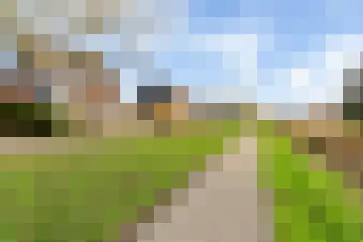 Maanvogel 4 Franeker thumbnail 46