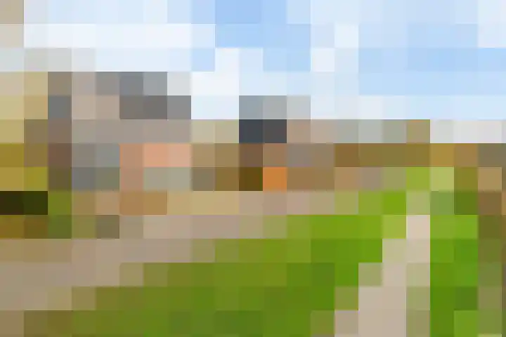 Maanvogel 4 Franeker thumbnail 47