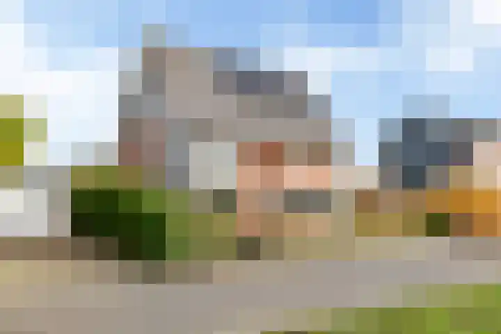 Maanvogel 4 Franeker thumbnail 48