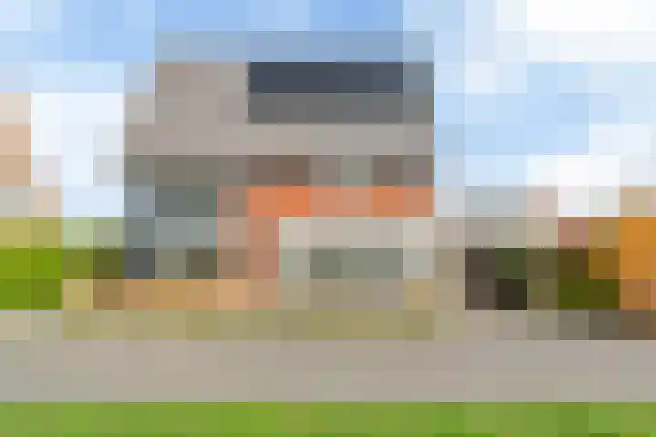 Maanvogel 4 Franeker thumbnail 49