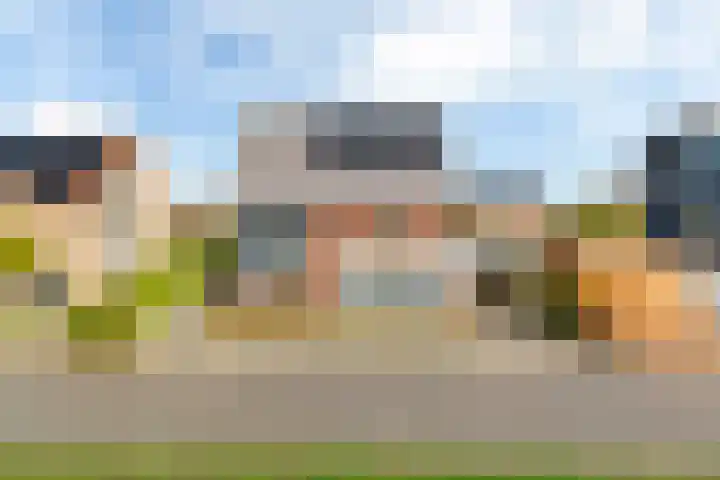Maanvogel 4 Franeker thumbnail 50