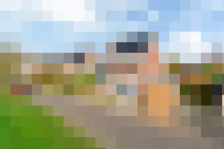 Maanvogel 4 Franeker thumbnail 51