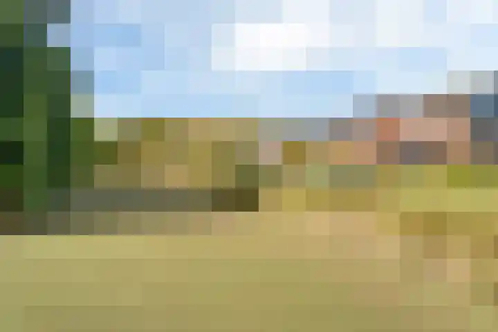 Maanvogel 4 Franeker thumbnail 52