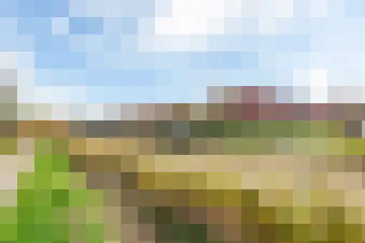 Maanvogel 4 Franeker thumbnail 53