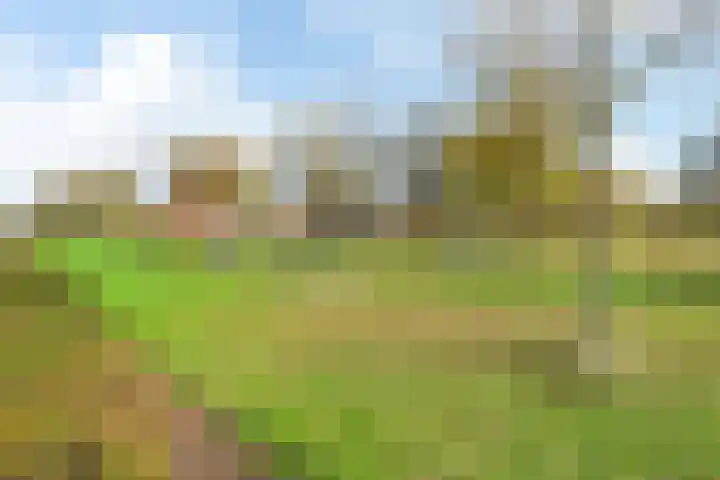 Maanvogel 4 Franeker thumbnail 54