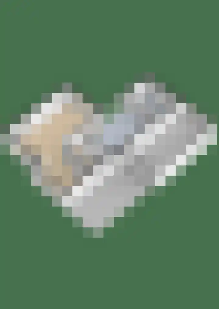 Maanvogel 4 Franeker thumbnail 56