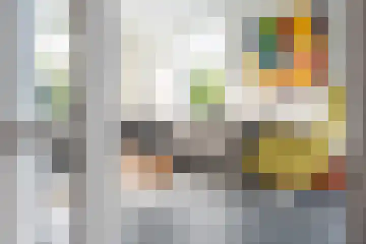 Maanvogel 4 Franeker thumbnail 6