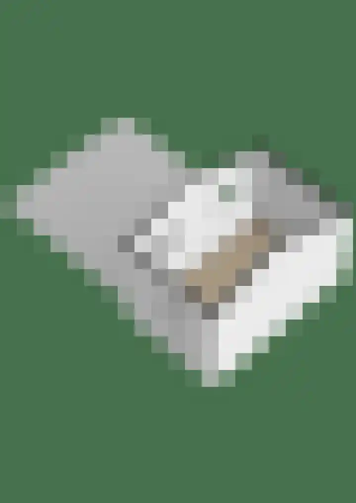 Maanvogel 4 Franeker thumbnail 62