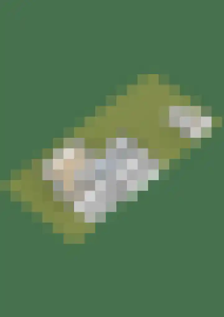 Maanvogel 4 Franeker thumbnail 64