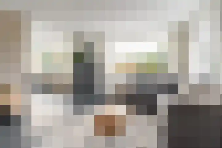 Maanvogel 4 Franeker thumbnail 7