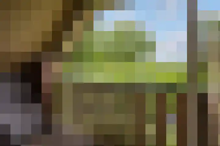 Maanweg 3 Leusden thumbnail 23