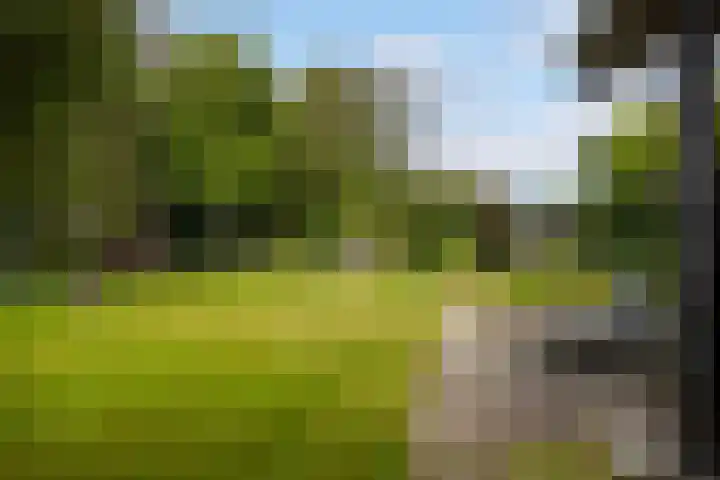 Maanweg 3 Leusden thumbnail 40