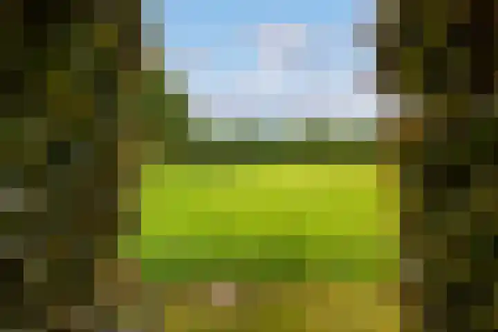 Maanweg 3 Leusden thumbnail 42