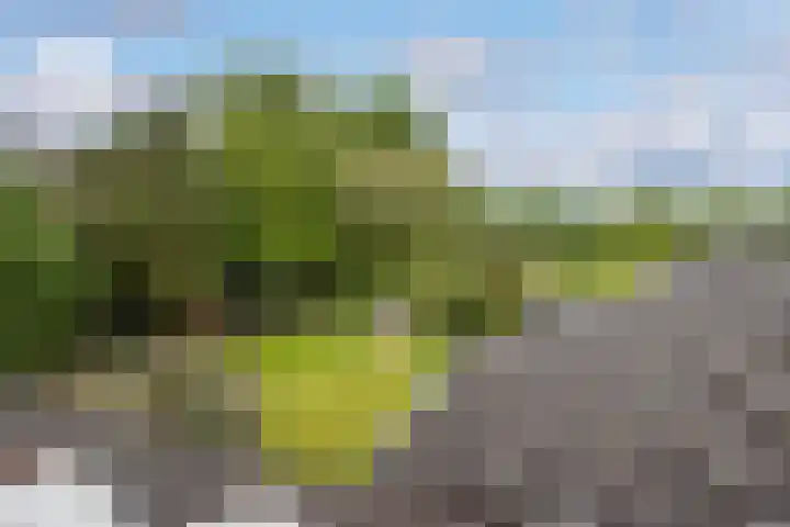 Maanweg 3 Leusden thumbnail 44