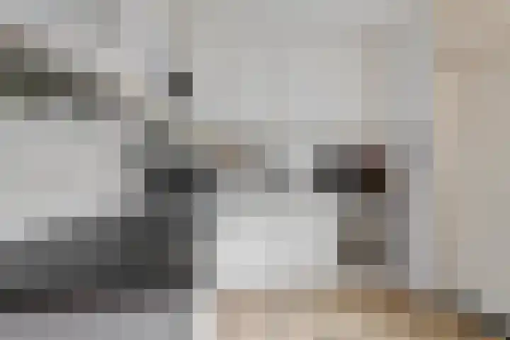 Maanzaaderf 12 Diemen thumbnail 16