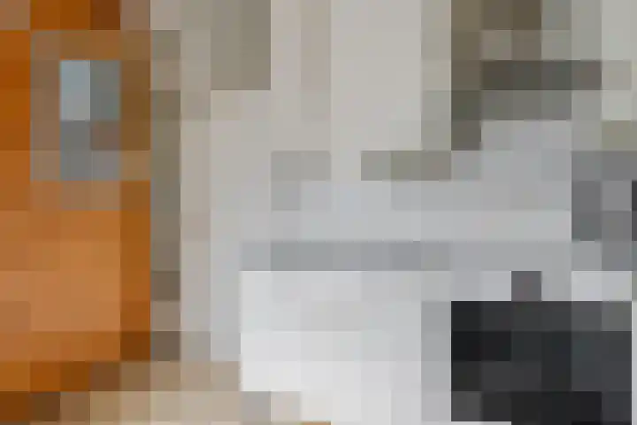 Maanzaaderf 12 Diemen thumbnail 18
