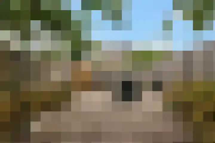 Maanzaaderf 12 Diemen thumbnail 33