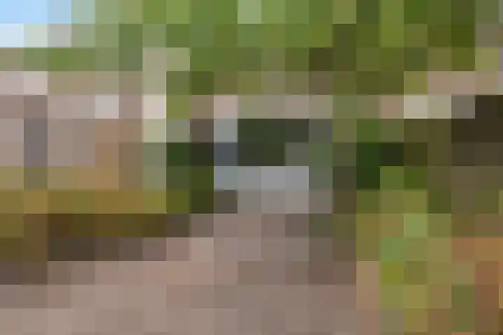 Maanzaaderf 12 Diemen thumbnail 34