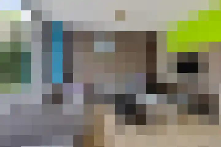 Maanzaaderf 12 Diemen thumbnail 4
