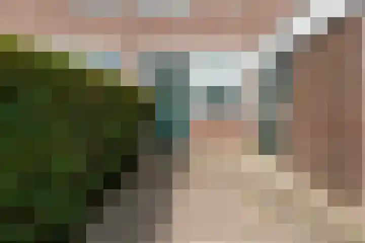 Maanzaaderf 12 Diemen thumbnail 6