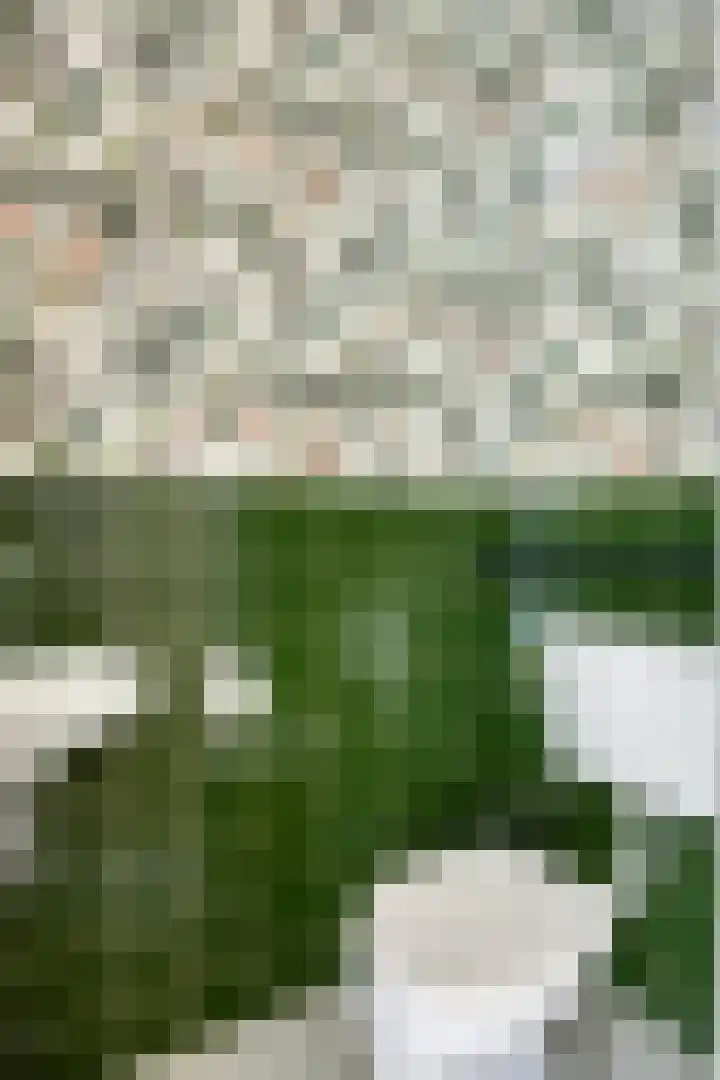 Maanzaaderf 21 Diemen thumbnail 13