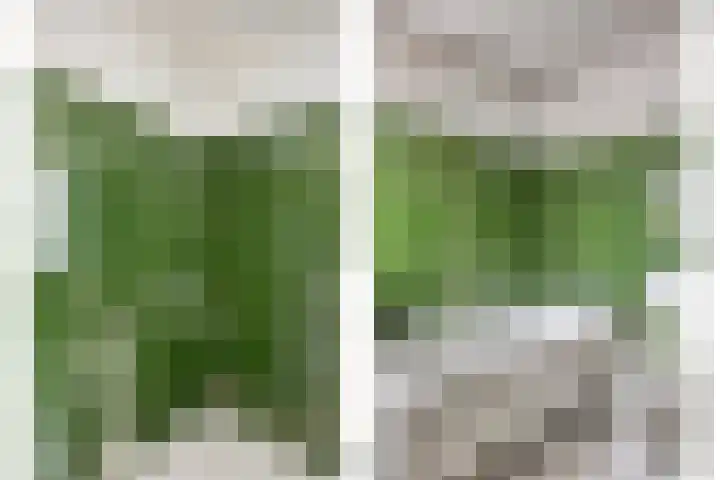 Maanzaaderf 21 Diemen thumbnail 16