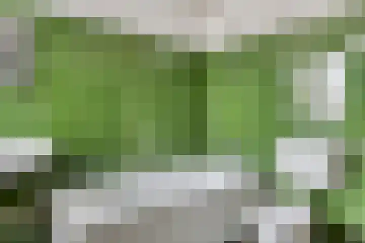 Maanzaaderf 21 Diemen thumbnail 17
