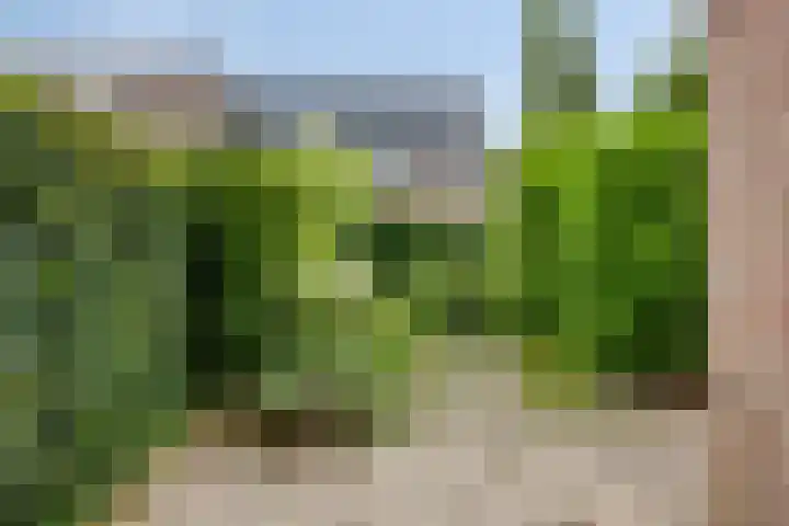 Maanzaaderf 21 Diemen thumbnail 24